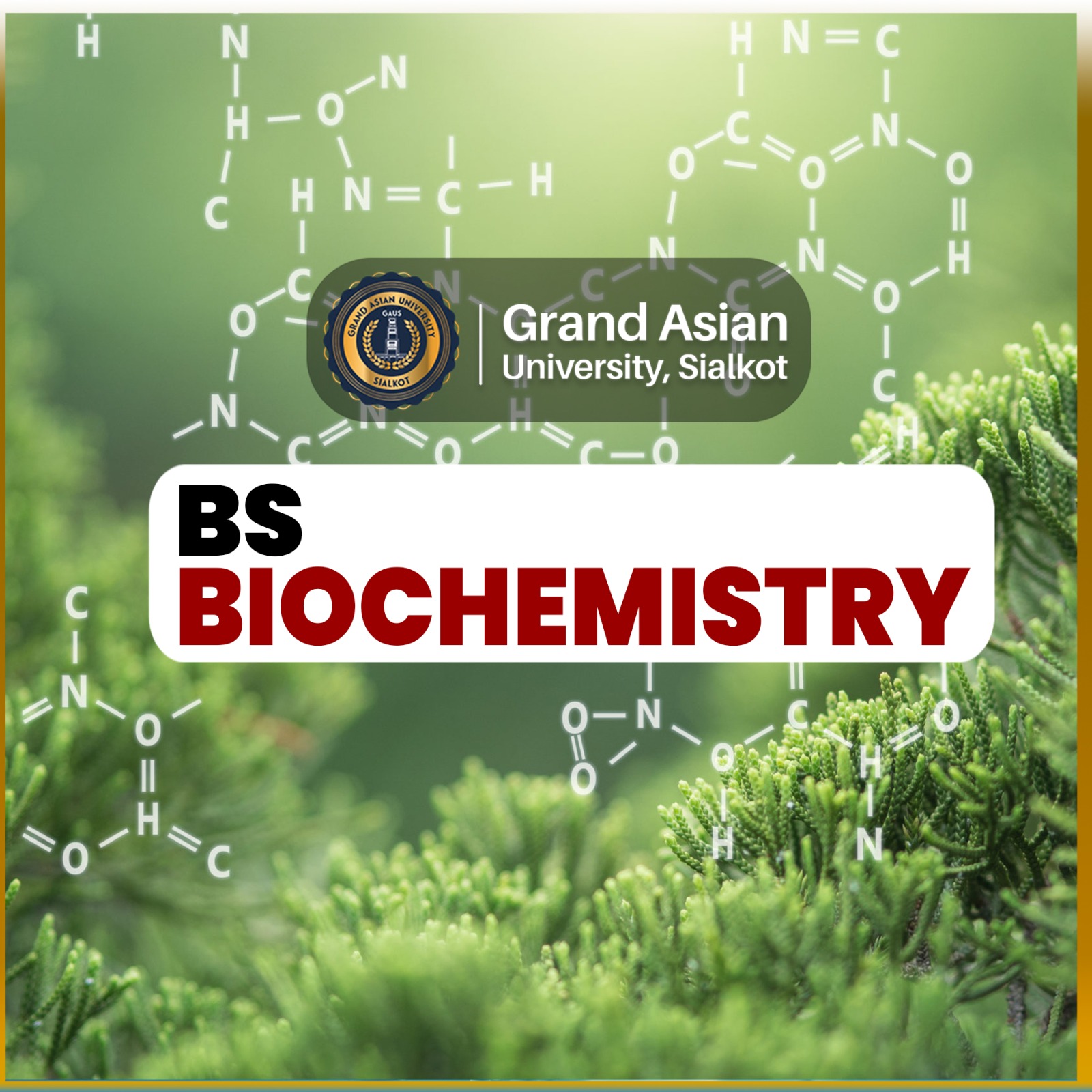 biochemistry