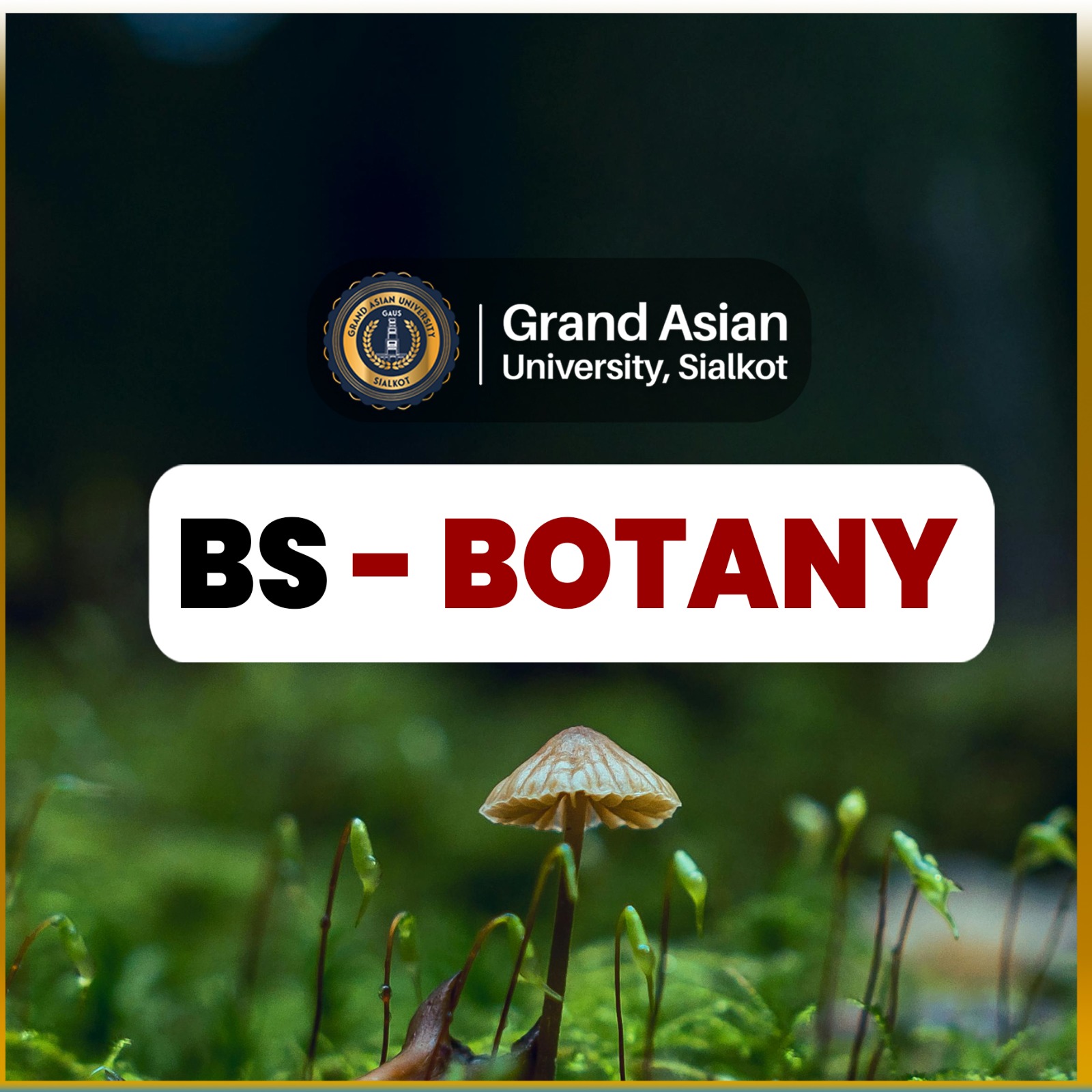 botany